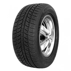 ROADX 165/65R14 FROST WH01 79 T